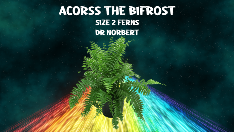 Size 2 Ferns a Marvel Crisis Protocol Interview: Dr Norbert